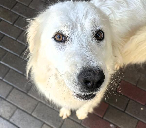 CHIARA MAREMMANA Foto 7